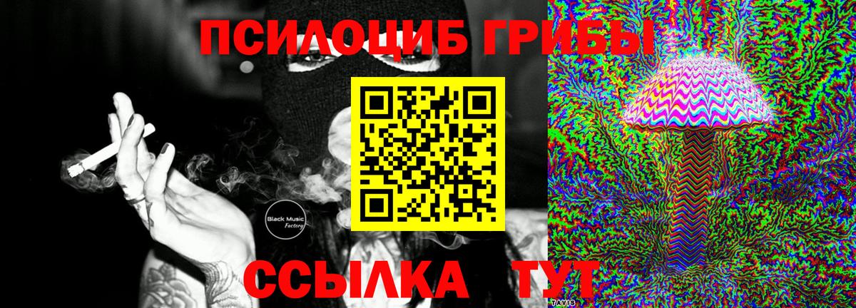 Псилоцибиновые грибы Psilocybine cubensis Звенигород
