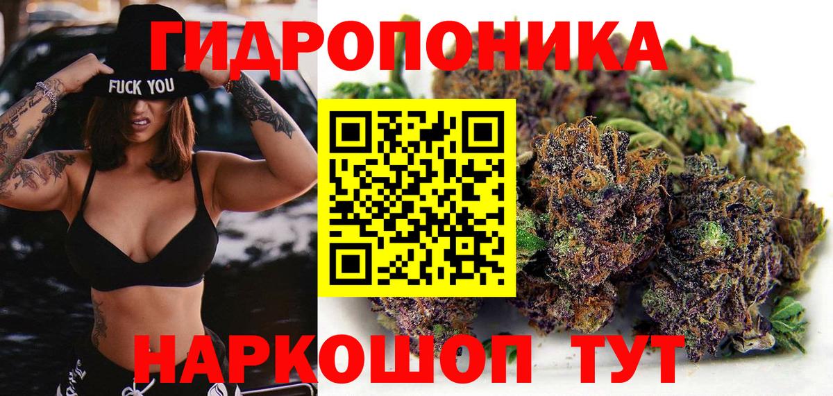 Каннабис гибрид  Вход с VPN  Конопля планчик  Марихуана сатива  Звенигород 